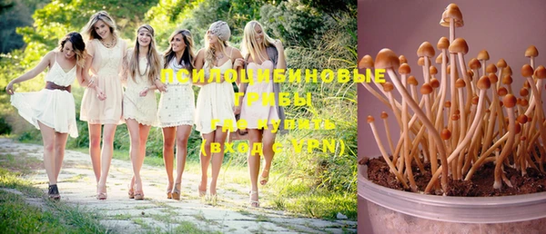 MDMA Premium VHQ Бугульма