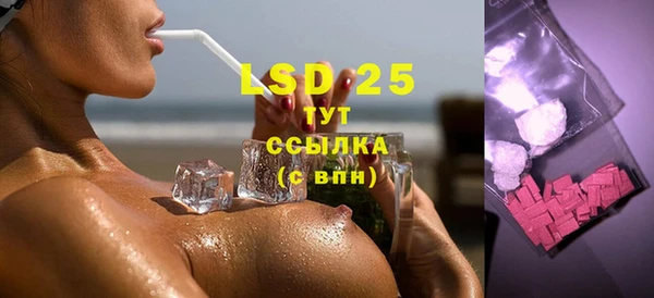 сатива Бородино