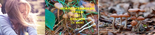 бошки Бронницы