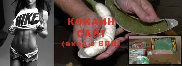сатива Бородино