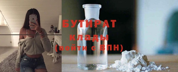 сатива Бородино