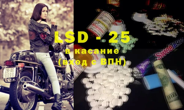 сатива Бородино