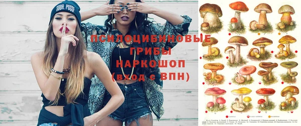 MDMA Premium VHQ Снежногорск