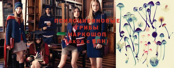 хмурый Слюдянка