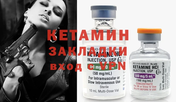 сатива Бородино
