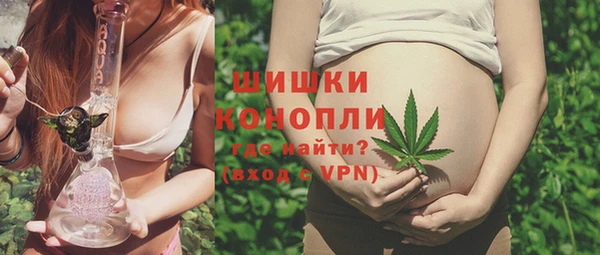 сатива Бородино