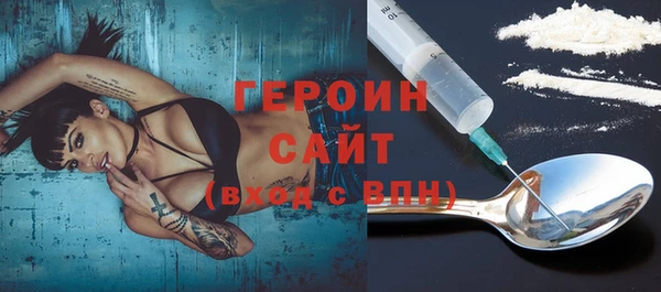 сатива Бородино